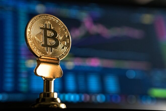 What Drives the Bitcoin Price?