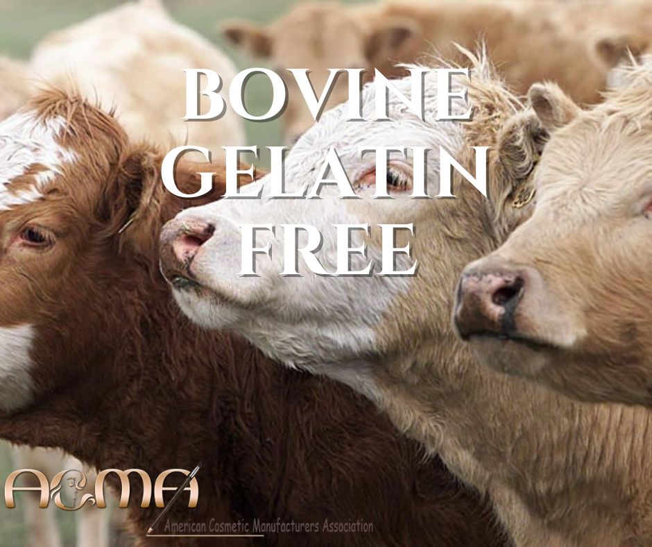 Helping Realize Bovine Gelatin BSE Free Meaning