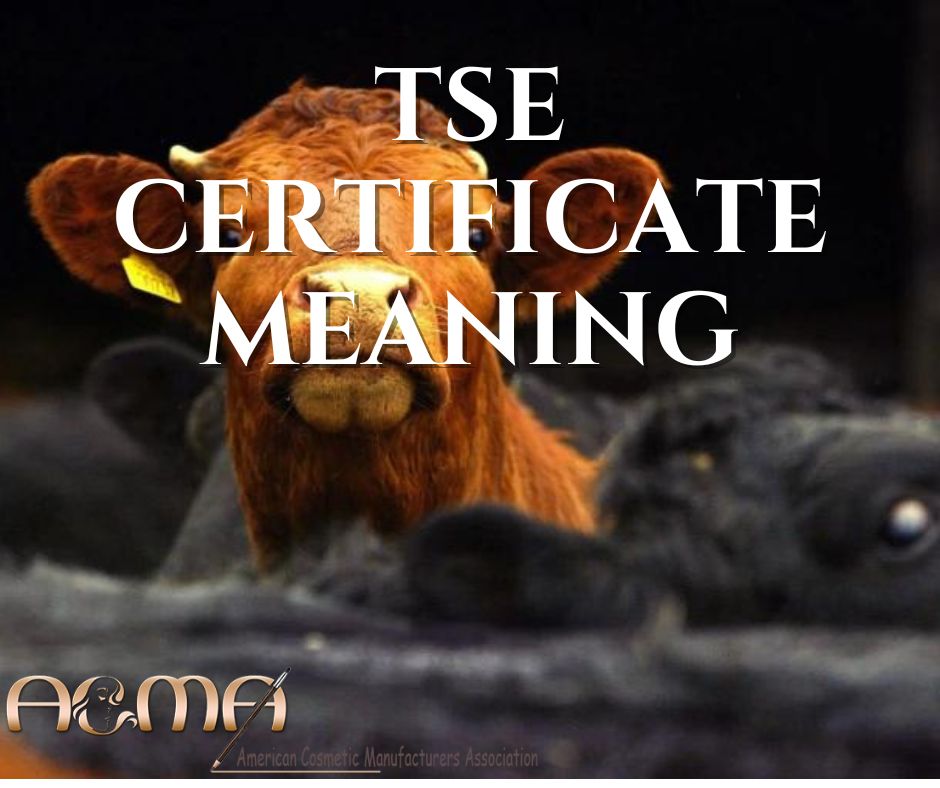 The Smart Trick of TSE Certificate Meaning