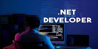 Why Hire a Dot Net Developer